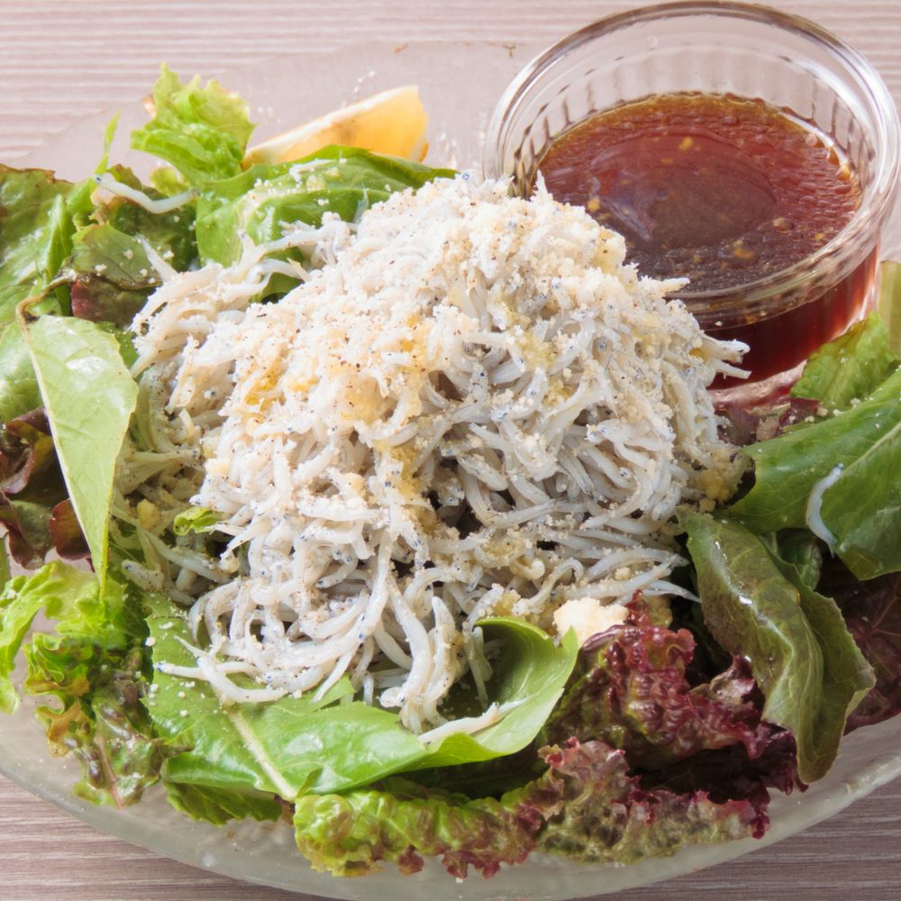 朝どれシラスのミスターふじサラダ